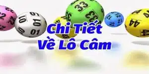 Dự đoán lô câm - Ảnh đại diện