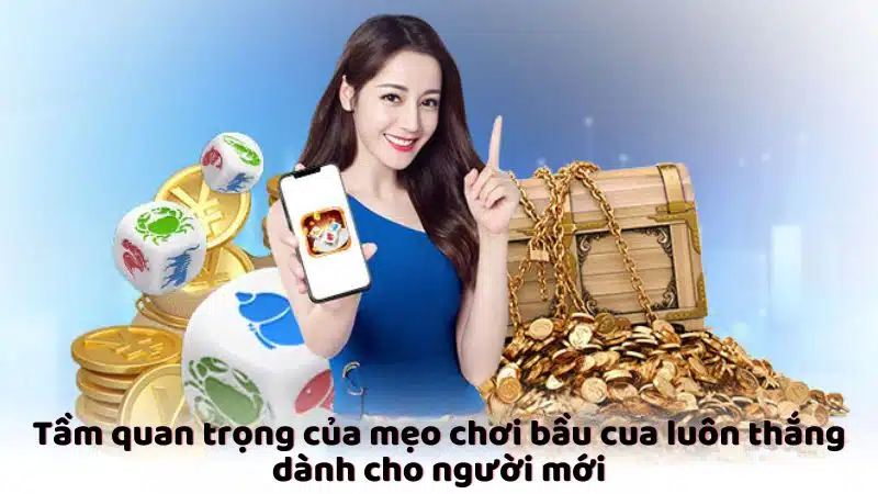 Mẹo chơi bầu cua luôn thắng dành cho người mới - Tầm quan trọng