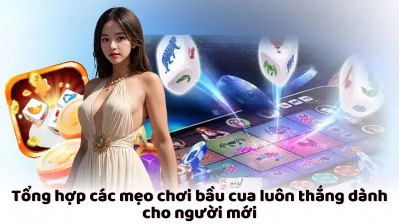 Mẹo chơi bầu cua luôn thắng dành cho người mới - Mẹo chơi